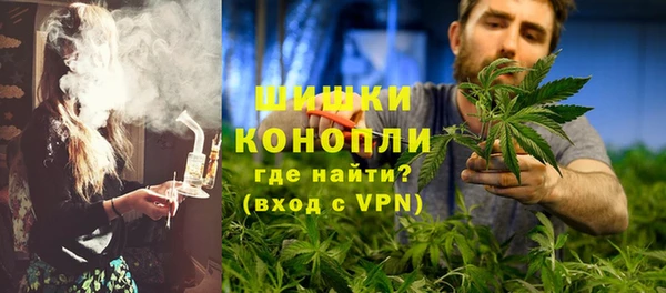 сатива Нефтегорск