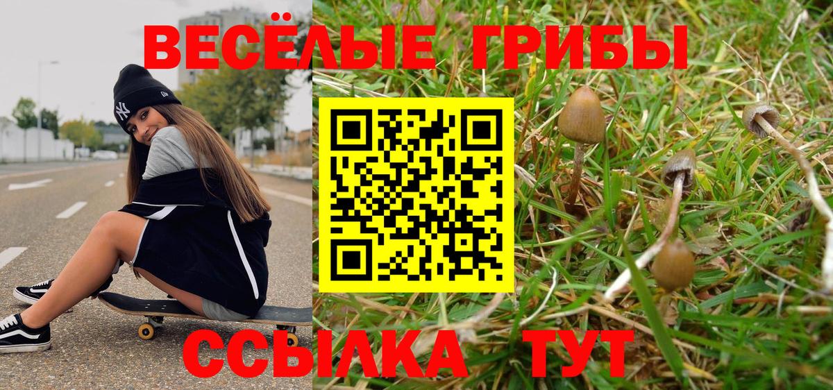 Галлюциногенные грибы Psilocybe  Галлюциногенные грибы Magic Shrooms  Вход с VPN  Саратов 