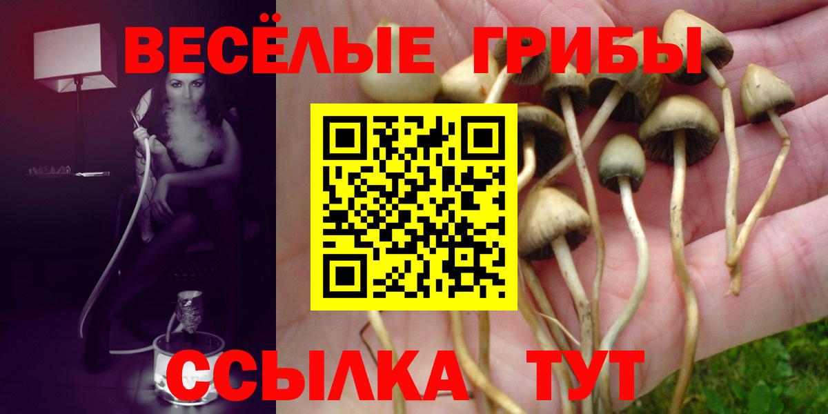 Галлюциногенные грибы ЛСД Саратов